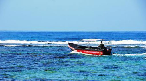 Laila and surukku fishing banned from today